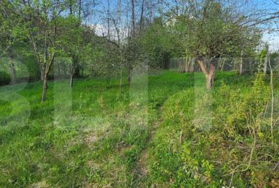 Teren de 6659 mp, în Nisipoasa - 10