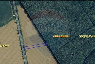 Teren Ciolpani 6000 mp DN1 PORTICO VENUE - 2