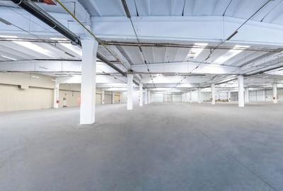Spațiu comercial, de 4,500 mp, în Est - 3