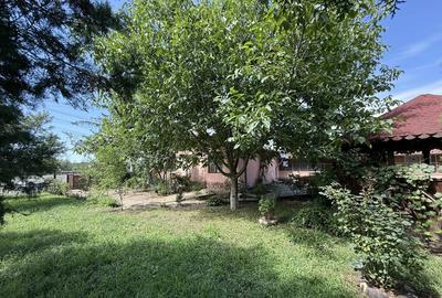 Casa spa?ioasa in Pogoanele, jude?ul Buzau - 13