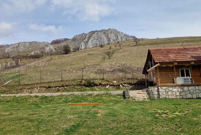 Teren de 1000 mp, în Vălișoara - 1