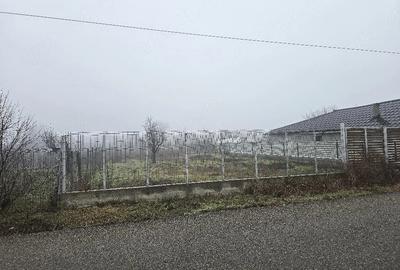 Teren de 974 mp, în Vânători - 1