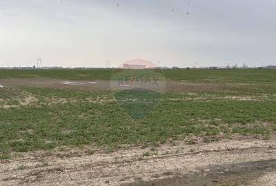 Teren agricol intravilan de 12651 mp, în Central - 11