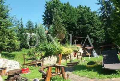 SX475 Valiug- Oportunitate de investitie in turismul montan! - 5