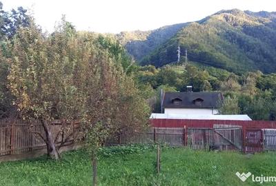 Teren de 725 mp, în Central - 2