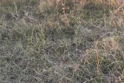 Spațiu comercial, în Berceni - 3