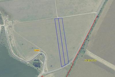 Teren Construcții intravilan de 9988 mp, în Tunari - 3