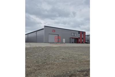 Depozit/hala/spatiu industrial Chiajna - Chitila - Rudeni - 15