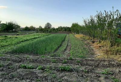 Teren de 4000 mp, în Măgureni - 4