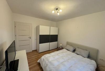 Apartament 2 camere de închiriat Micalaca - 11