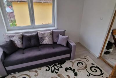 Casă cu 5 camere în Certeju de Sus - 11