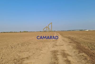 Teren intravilan de vanzare - zona industriala Domnesti/A1 - 3