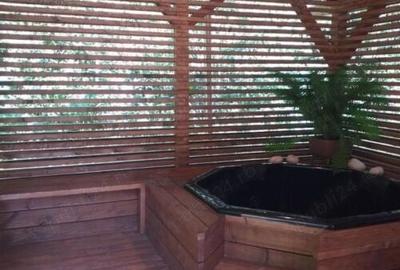 Casă cu 4 camere cu Teren 1365 Mp în Borzont - 3