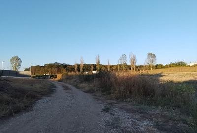 Ciolpani, spre Izvorani - COR, vanzare teren 5000mp. - 2