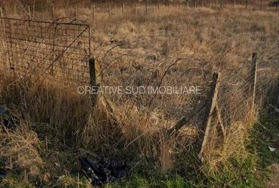 Teren Intravilan - 1.000 mp - Zona Buna - Strazi Asfaltate - 3