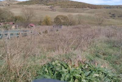 Spațiu comercial, în Sălicea - 2