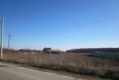 Teghes-Padurarului - 4