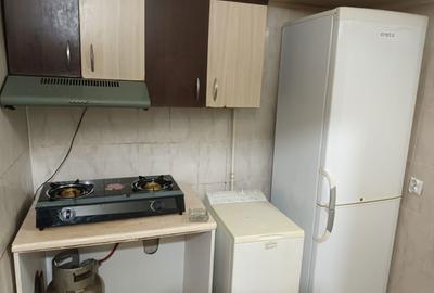 Garsonieră decomandată în Măliniș - 12