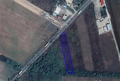 Teren de 2868 mp, în Tileagd