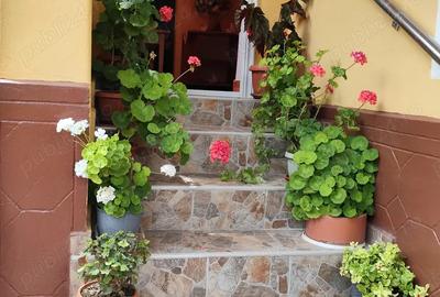 Casa de vanzare 5 camere plus 3,5 ha pamant .com. Scundu Sat Blejani - 1