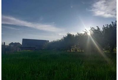 Spațiu comercial, în Decebal - 2