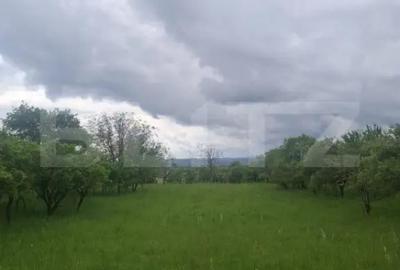 Teren de 2691 mp, în Turda - 7