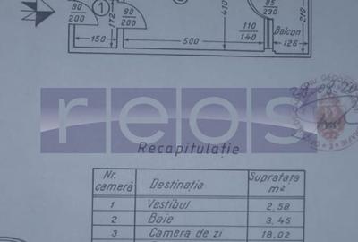 Garsonieră semidecomandată, mobilată în Dristor - 5