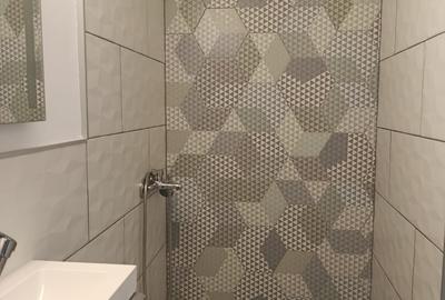 Apartament 35 mp – Piața Victoriei / Titulescu / Dr. Felix - 4