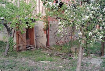 Casă cu 3 camere cu Teren 900 Mp în Central - 19