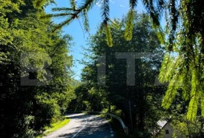 Cabana de vanzare Marisel - afacere la cheie! - 3