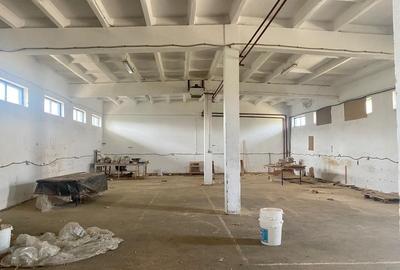 Spațiu industrial, de 302 mp, în Sânnicolau Mic - 2