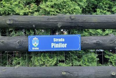 Spațiu comercial, în Brebu - 11