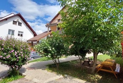 Casă cu 10 camere în Sub Arini