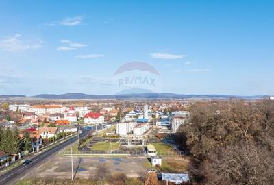 Spațiu industrial, de 1,250 mp, în Lunca Calnicului - 13