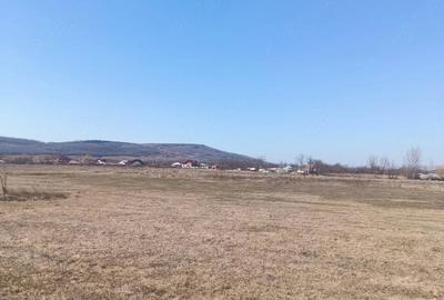 Teren de 10000 mp, în Golăiești