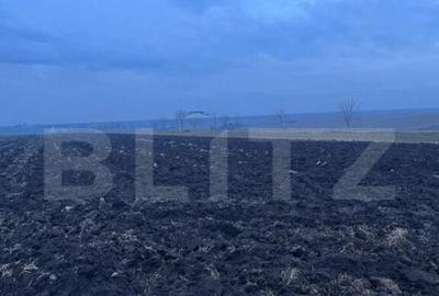 Oportunitate investi?ie, teren 10000 mp, toate utilita?il - 2