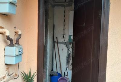 Casa la curte de vanzare, sector 3 - 3