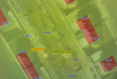 Spațiu comercial, în Chinteni - 2