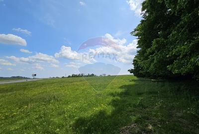 Teren agricol extravilan de 7000 mp, în Ilișești - 11