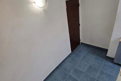 Apartament cu 2 camere semidecomandat, mobilat în Giurgiului - 14