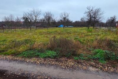 Teren de 600 MP cu utilități trase (curent, apa, canalizare) - 7