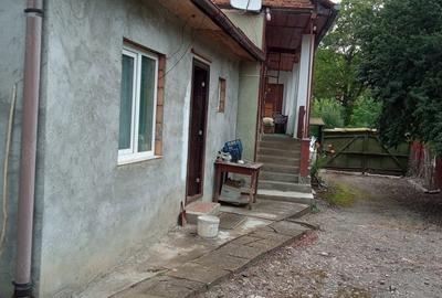 Casă cu 2 camere în Izvoarele (Livezile) - 6