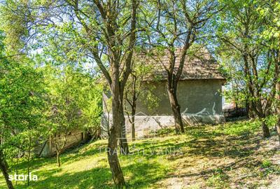 Casă cu 2 camere cu Teren 1368 Mp în Petrești - 11