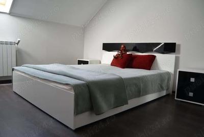 Apartament 1 camera ultracentral, zona Teatru-Facultatea de Medicina, mobilat, utilat - 280 euro - 1