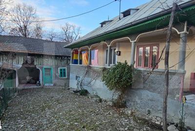 Casă cu 2 camere cu Teren 1100 Mp în Bezdead - 9