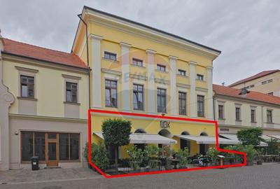 De vanzare -- Spatiu comercial parter 409 mp, Vasile Alecsandri - 1