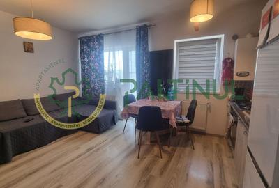 Apartament cu 2 camere semidecomandat, mobilat în Turnișor