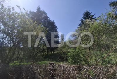 Teren intravilan de vanzare 2700 mp Slimnic Sibiu - 2