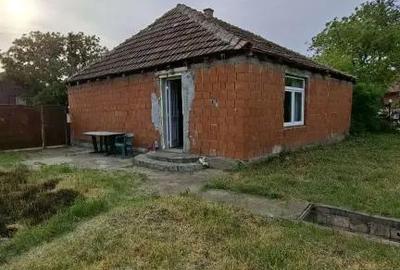 Casă cu 2 camere în Satchinez - 2