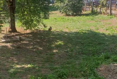 Casă cu 4 camere în Central - 1